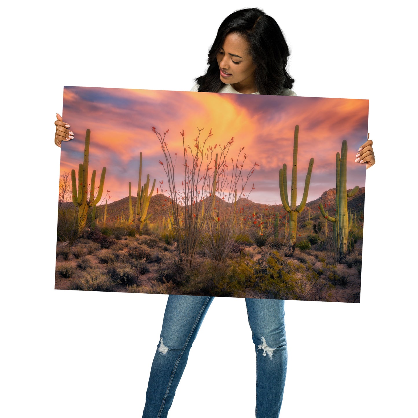 Tucson Mountain Park Sunset by Sean Parker Photography | Poster