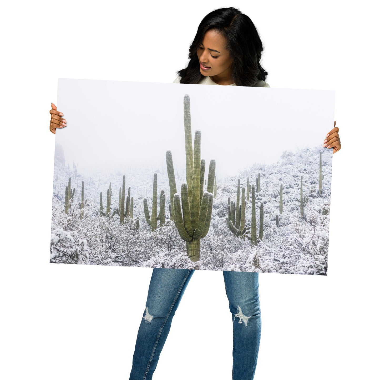 Saguaro Snowfall by Sean Parker Photography | Poster