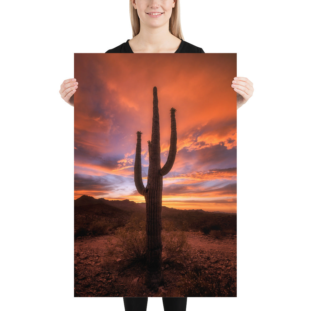 Saguaro Sunset by Sean Parker Photography | Poster