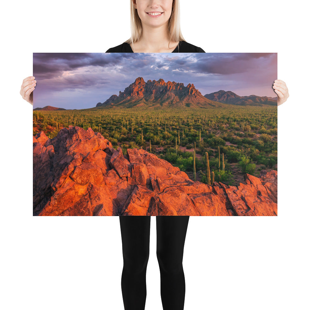 Ironwood National Monument by Sean Parker Photography | Poster