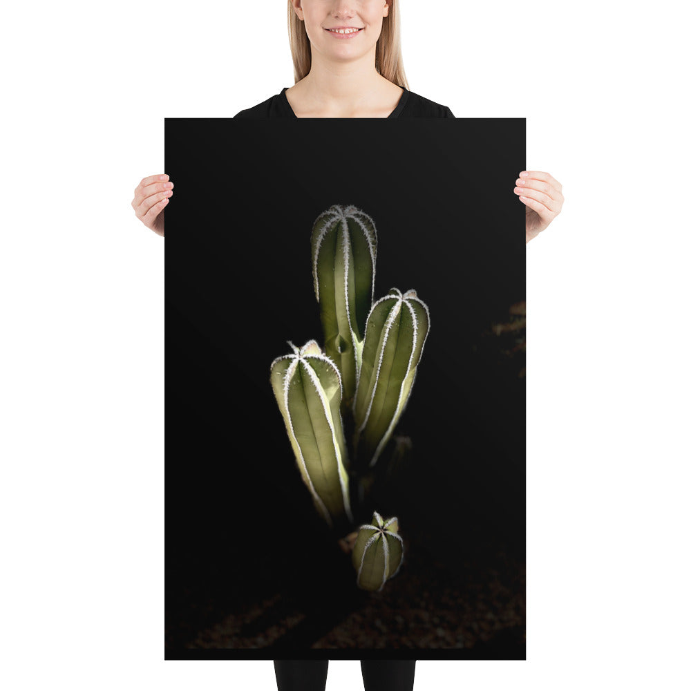 Saguaro Quad by Enrique Aldana Photography | Poster