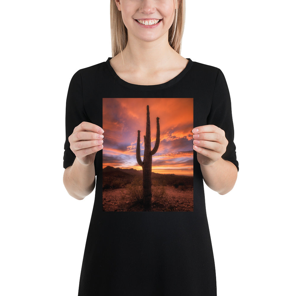 Saguaro Sunset by Sean Parker Photography | Poster