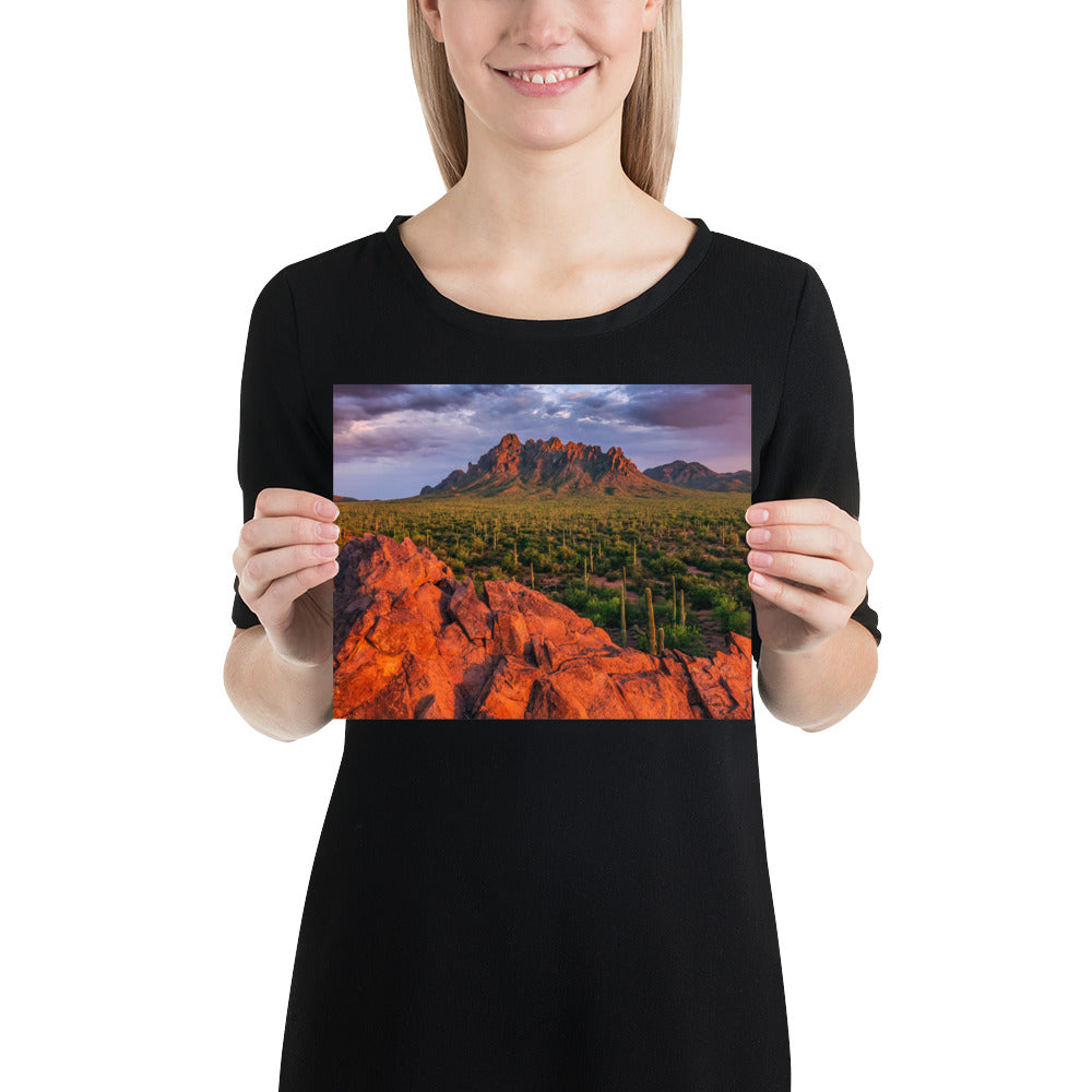 Ironwood National Monument by Sean Parker Photography | Poster