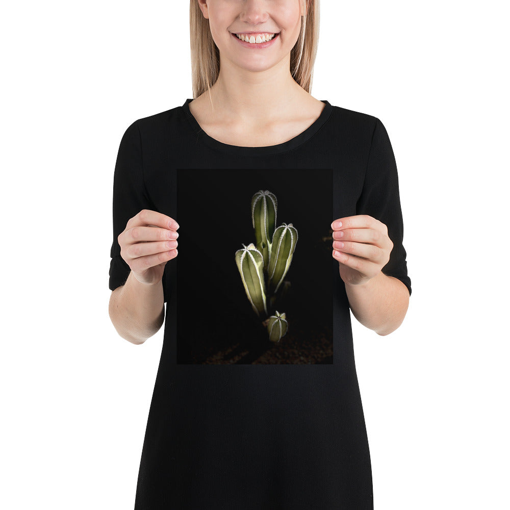 Saguaro Quad by Enrique Aldana Photography | Poster