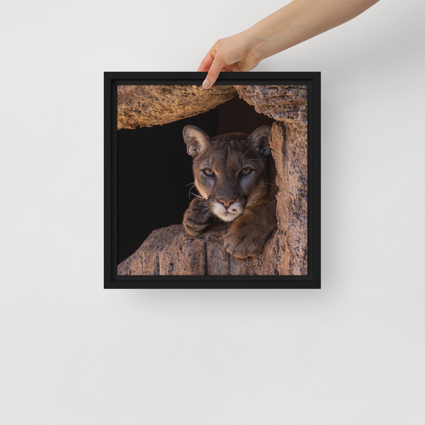 Cruz by Leslie Leathers Photography | Framed Canvas