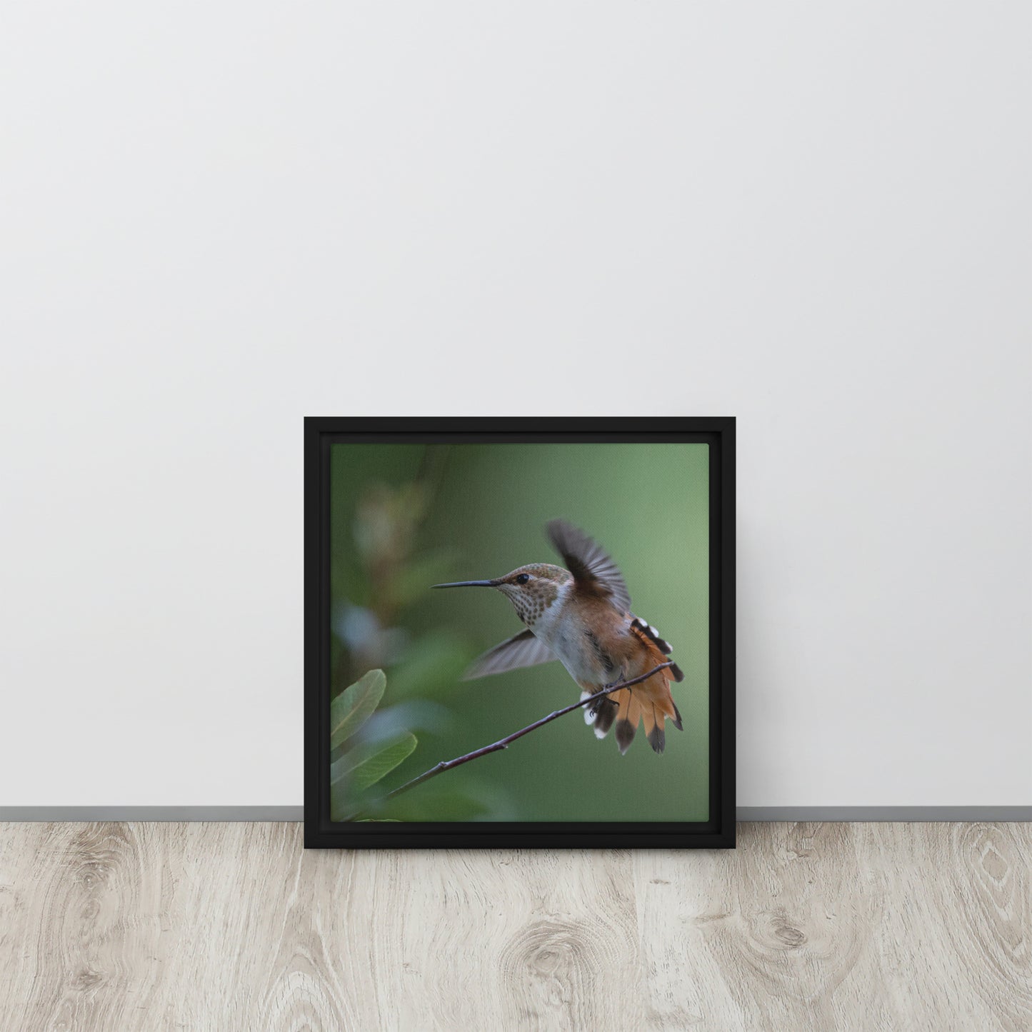 Rufous Hummingbird by Leslie Leathers Photography | Framed canvas