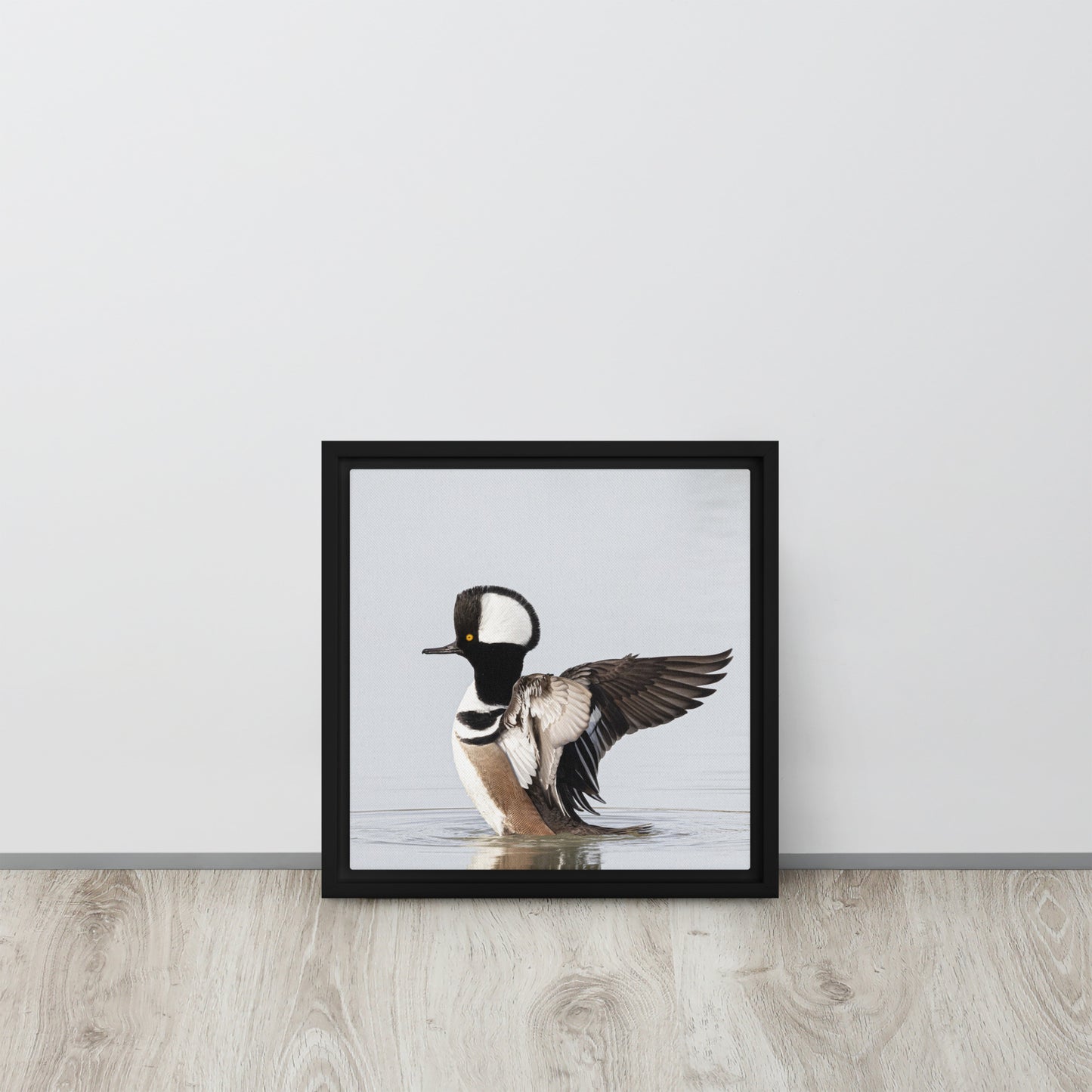 Hooded Merganser by Leslie Leathers Photography | Framed canvas