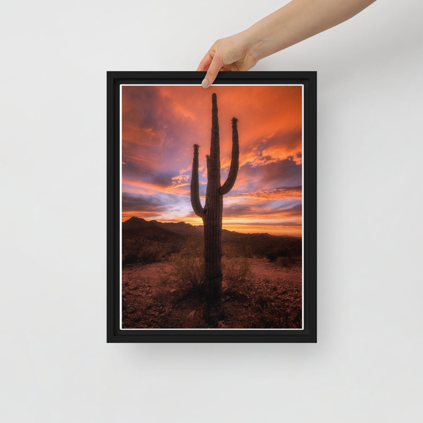 Saguaro Sunset by Sean Parker Photography | Framed canvas