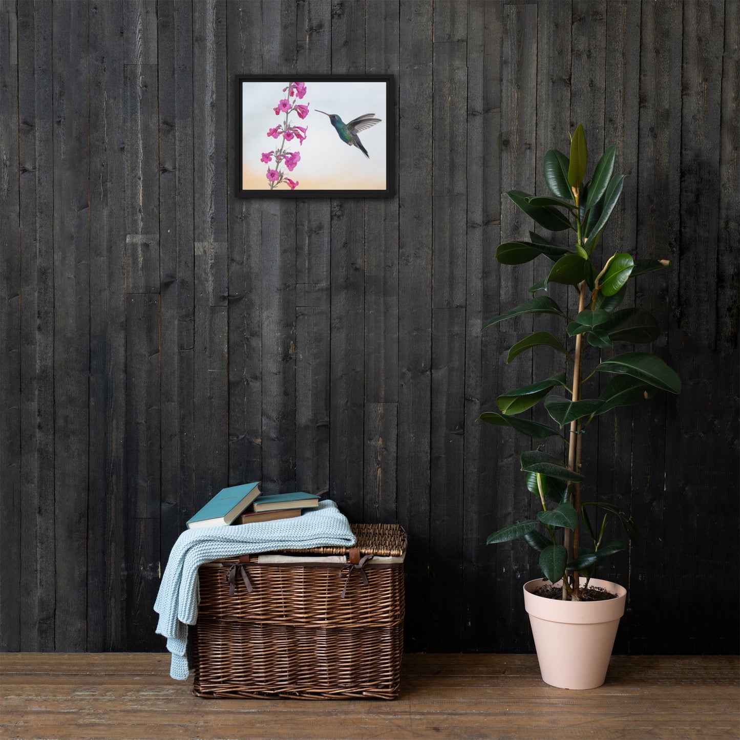 Broad Billed Hummingbird by Leslie Leathers Photography | Framed canvas