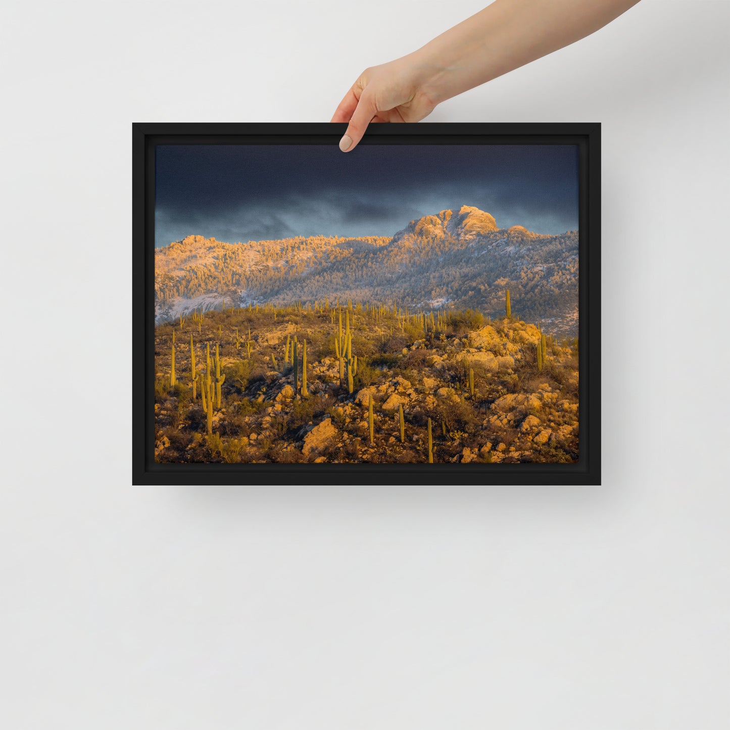 Rincon Mountain Snow by Sean Parker Photography | Framed canvas