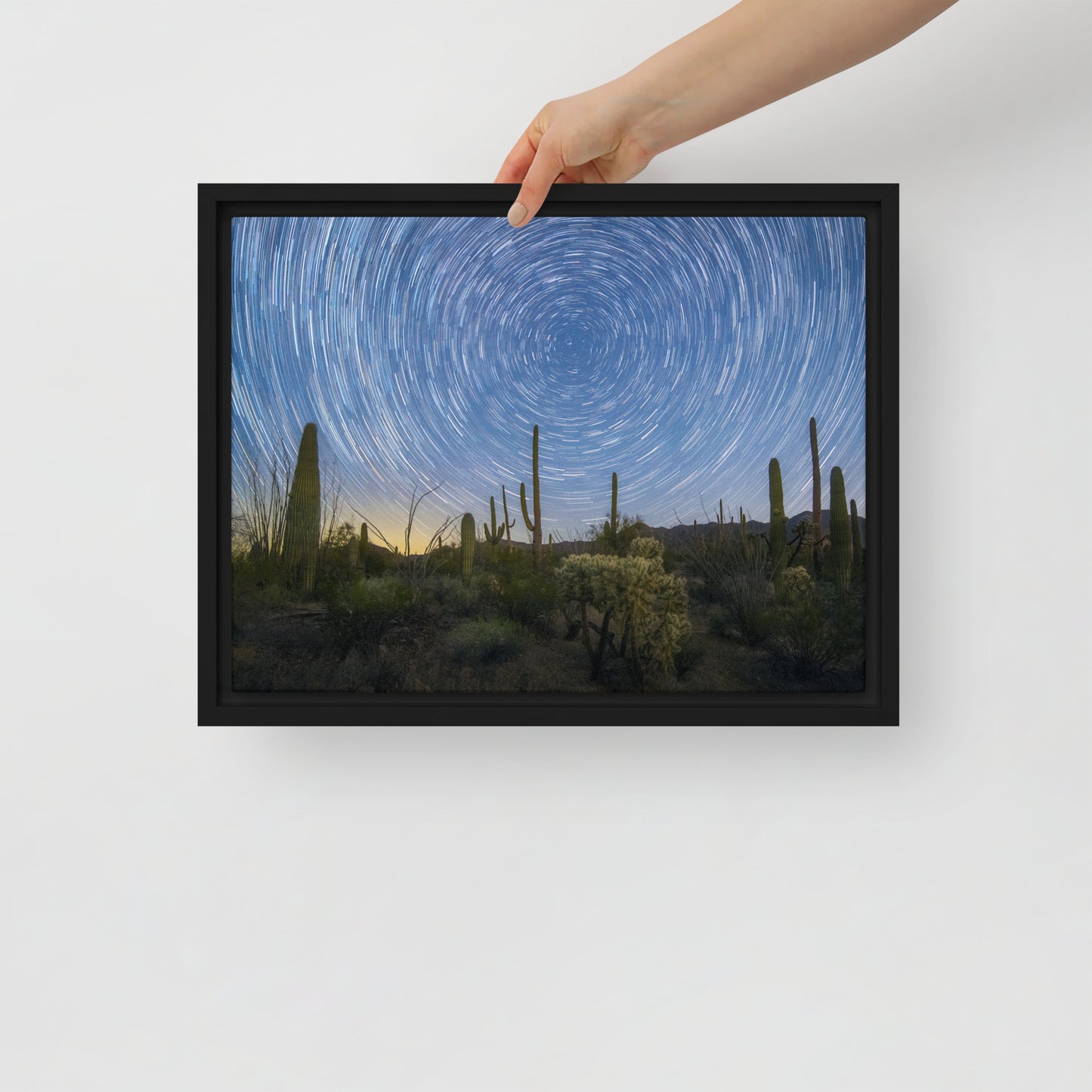 Sonoran Startails by Sean Parker Photography | Framed canvas