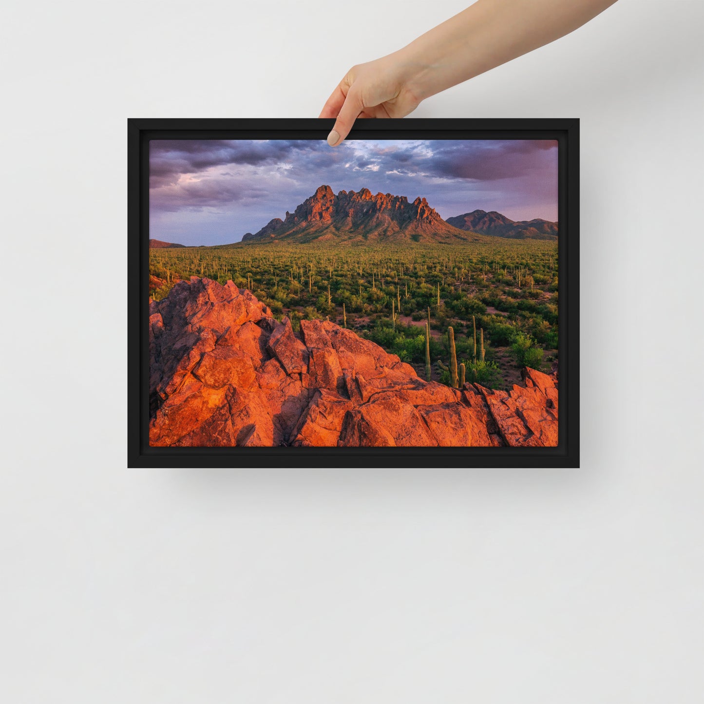 Ironwood National Monument by Sean Parker Photography | Framed canvas