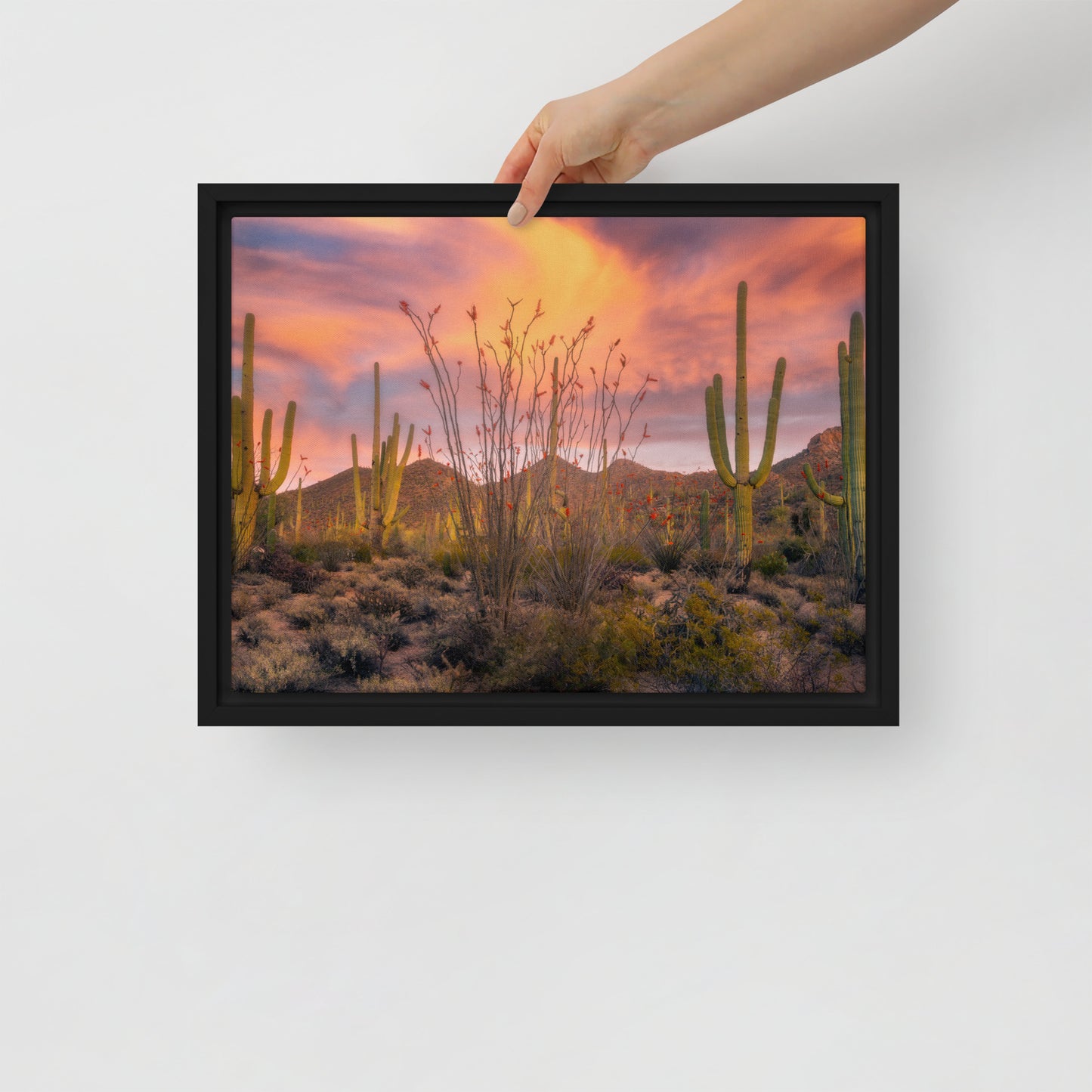 Tucson Mountain Park Sunset by Sean Parker Photography | Framed canvas