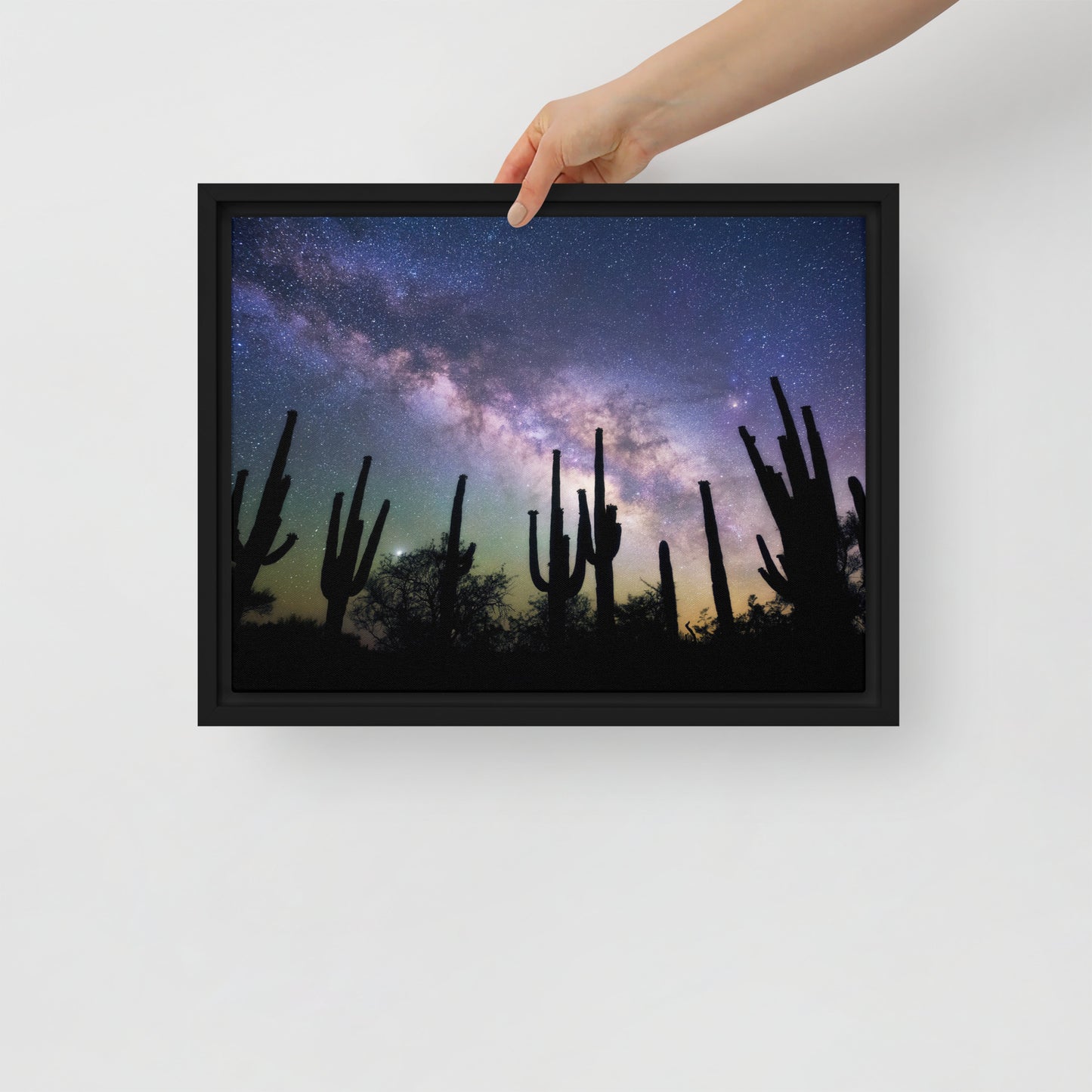 Saguaro Starlight by Sean Parker Photography | Framed canvas