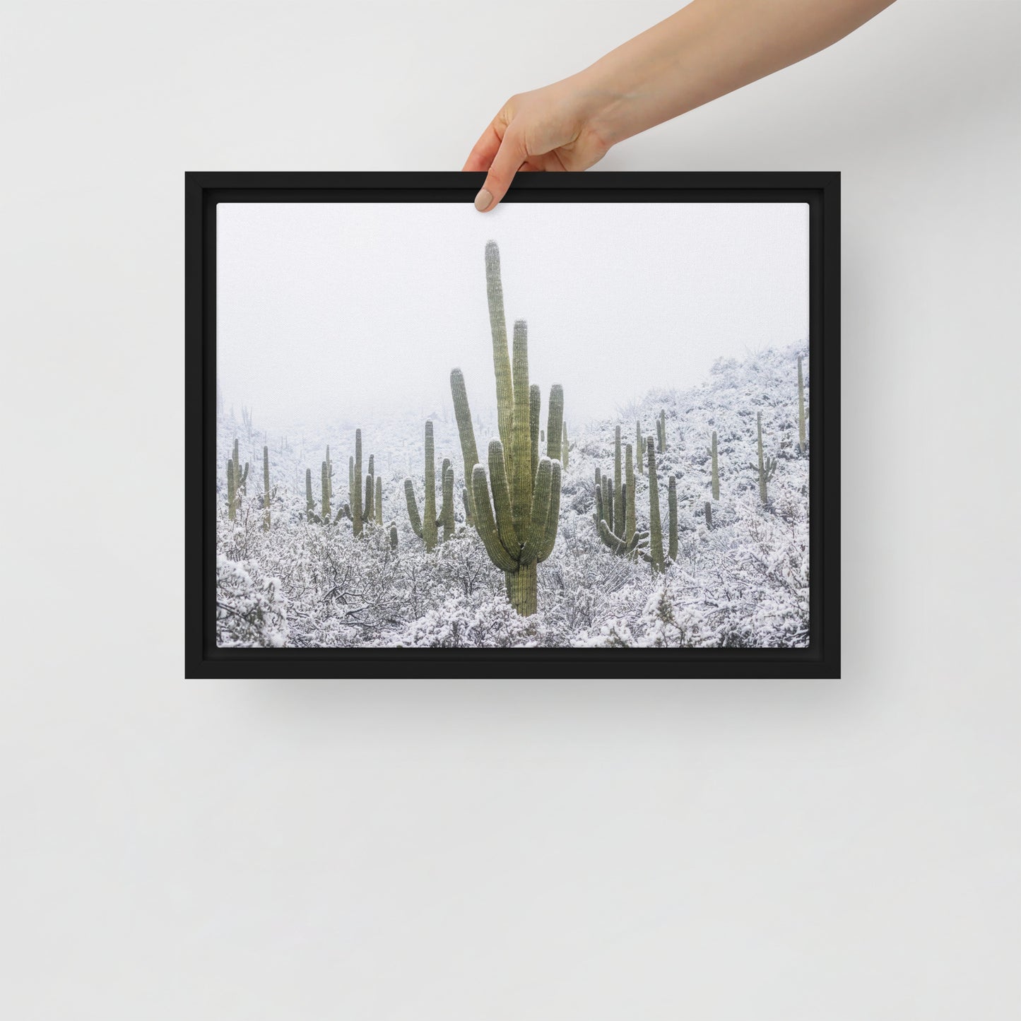 Saguaro Snowfall by Sean Parker Photography | Framed canvas