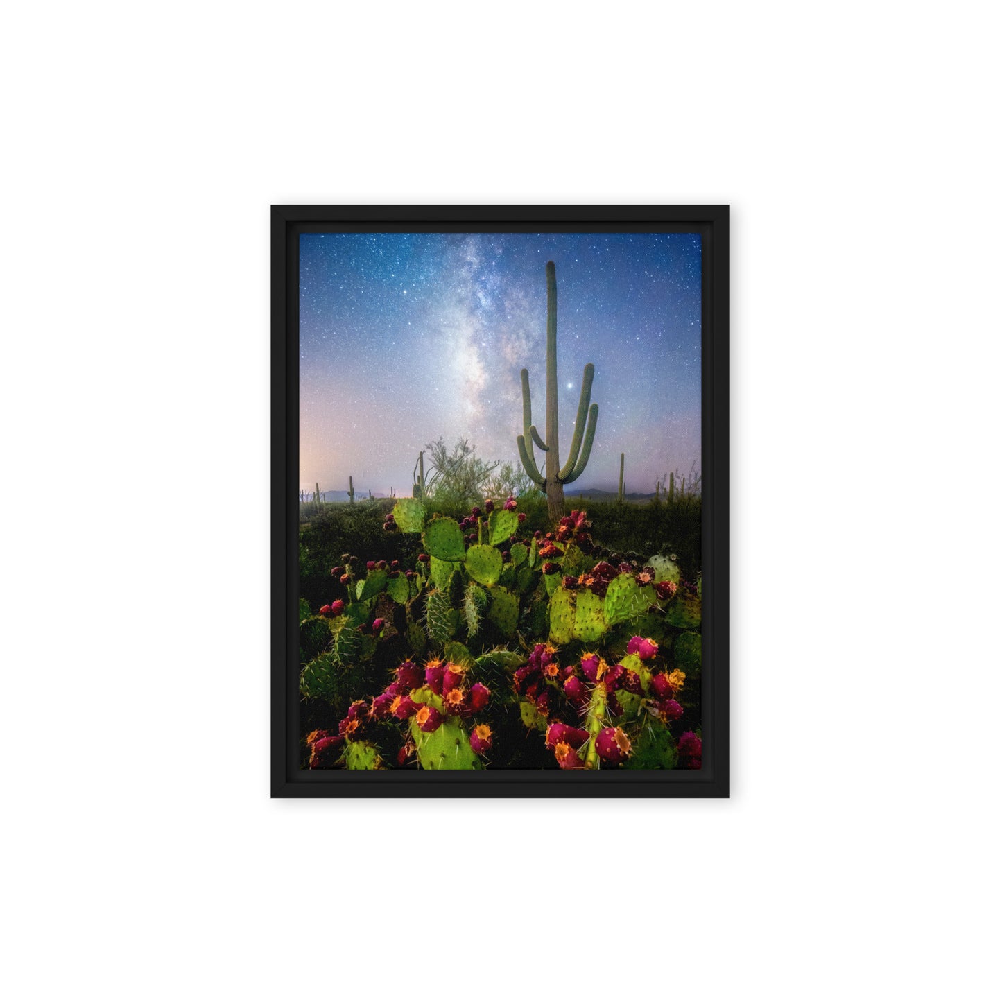 Milky Way Prickly Pear by Sean Parker Photography | Framed canvas