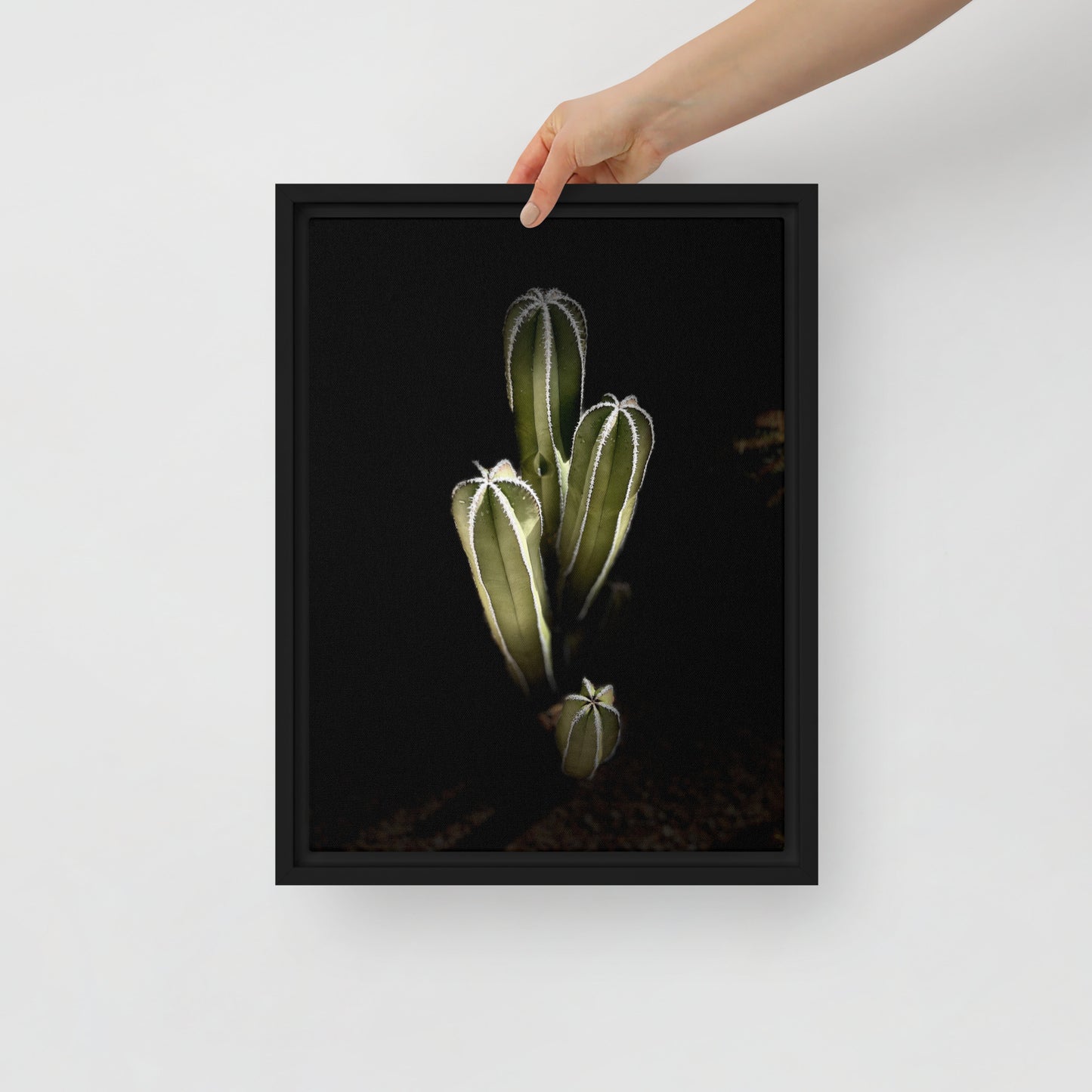 Saguaro Quad by Enrique Aldana Photography | Framed canvas