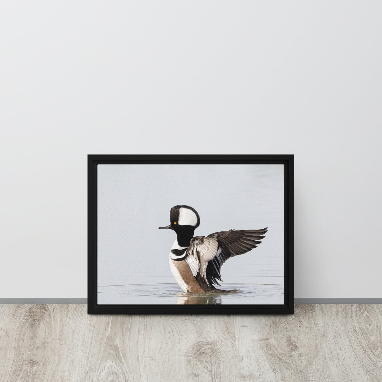 Hooded Merganser by Leslie Leathers Photography | Framed canvas