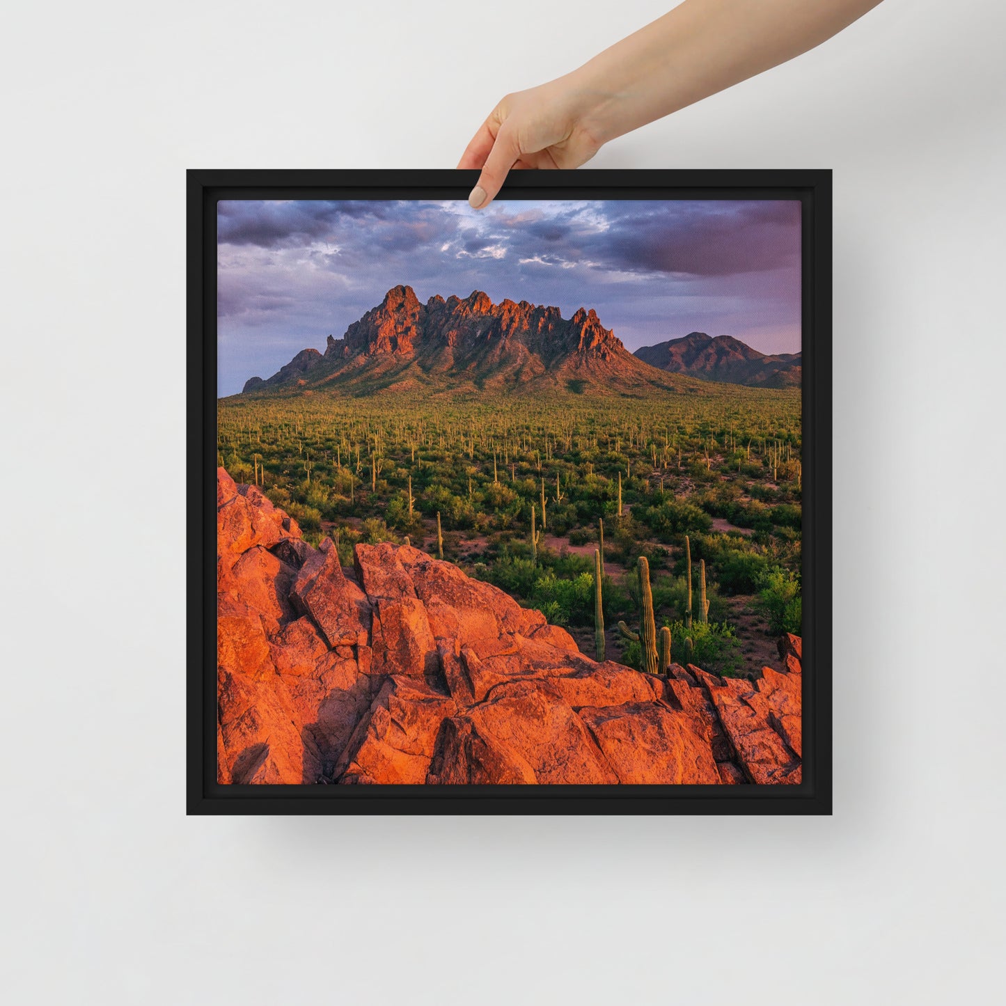 Ironwood National Monument by Sean Parker Photography | Framed canvas