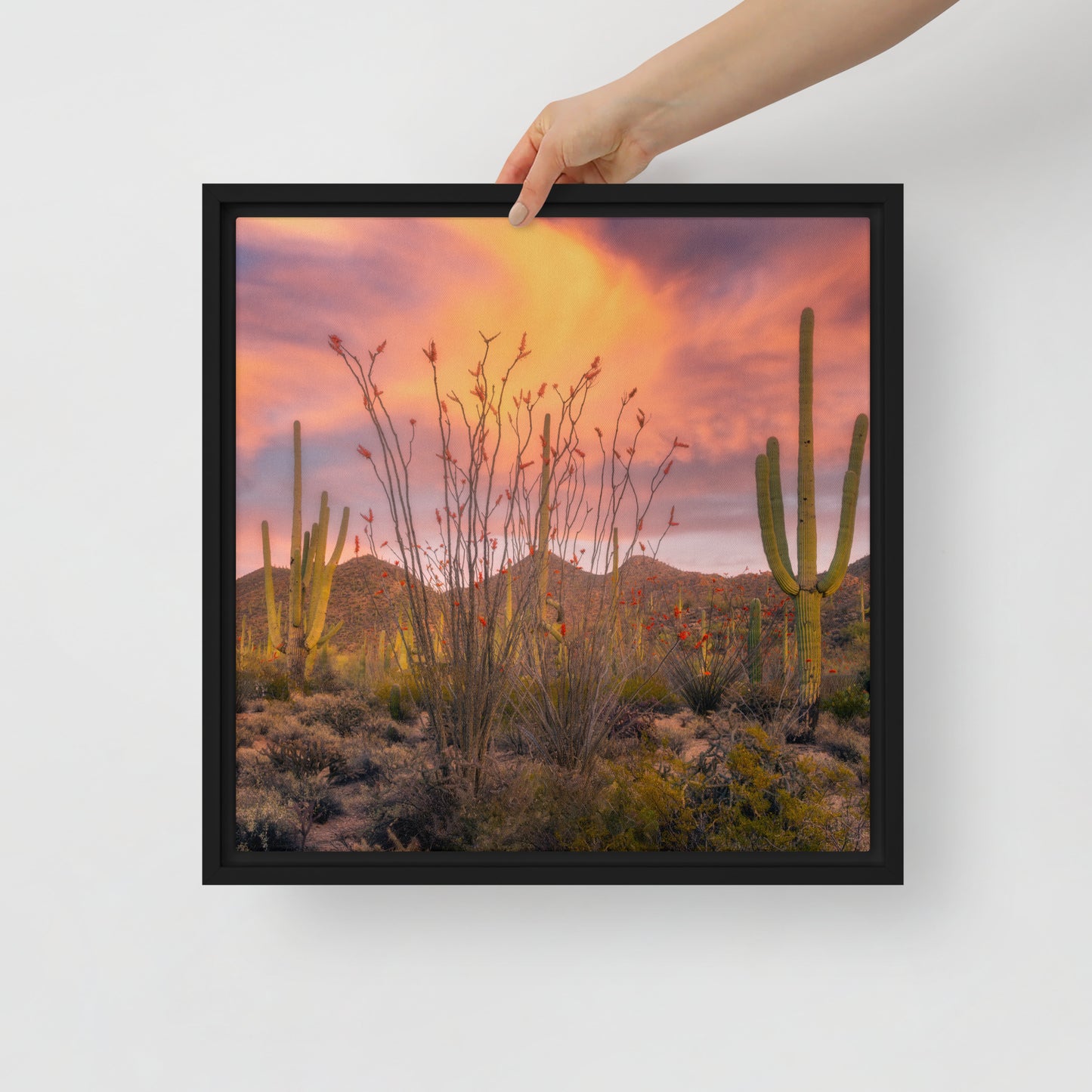 Tucson Mountain Park Sunset by Sean Parker Photography | Framed canvas