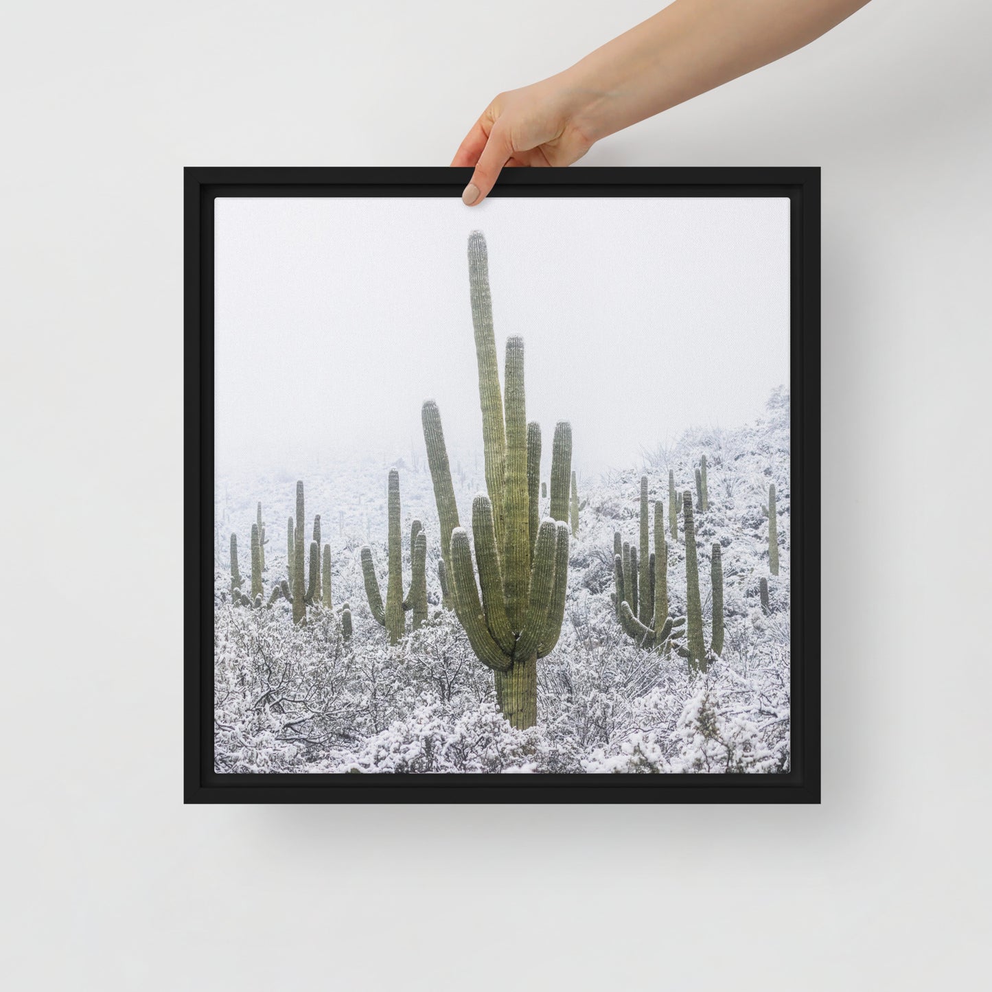 Saguaro Snowfall by Sean Parker Photography | Framed canvas