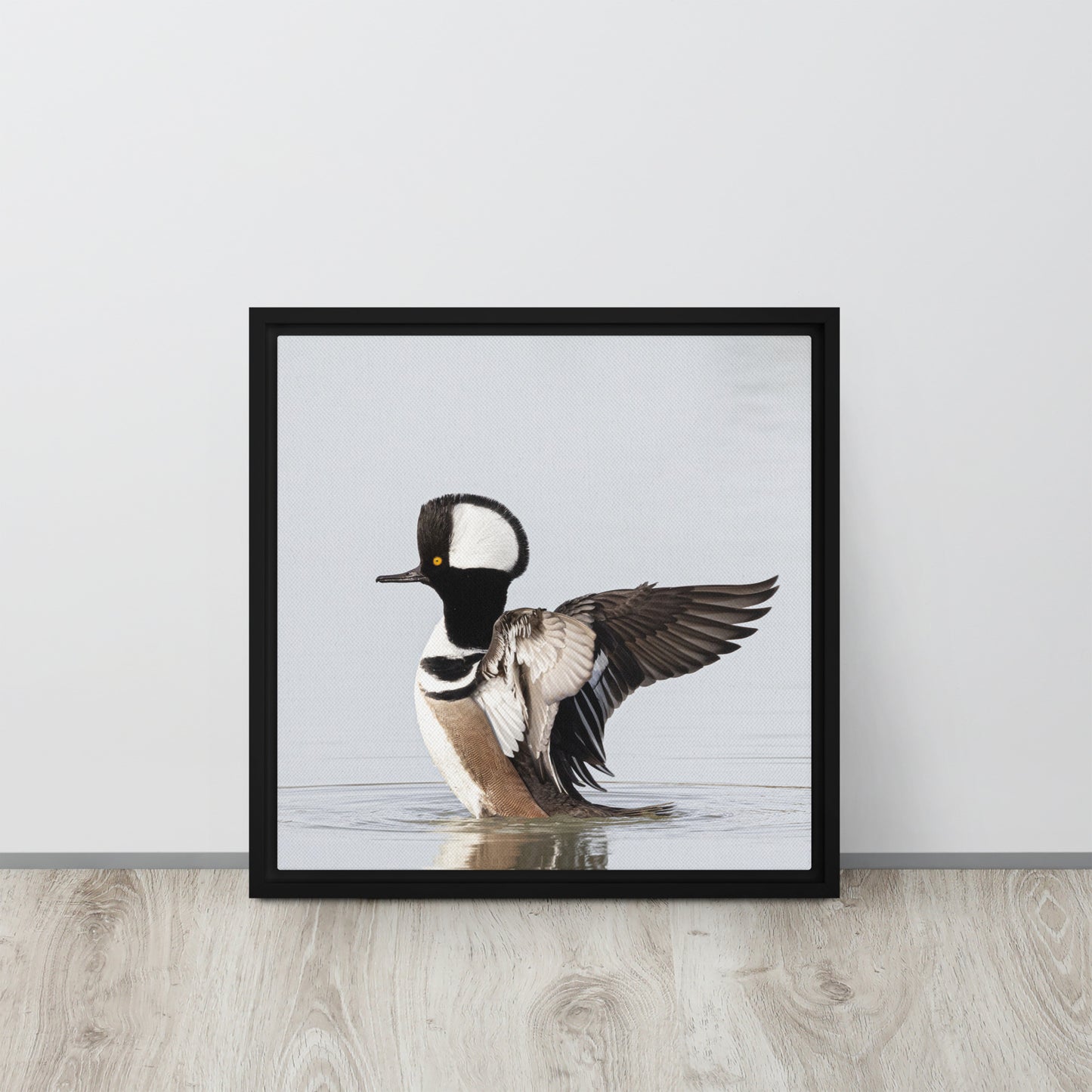 Hooded Merganser by Leslie Leathers Photography | Framed canvas