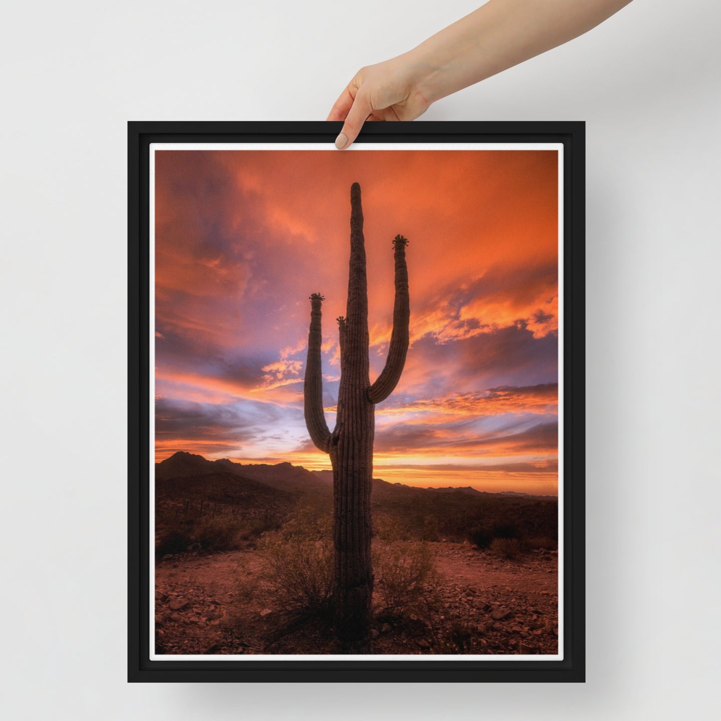 Saguaro Sunset by Sean Parker Photography | Framed canvas