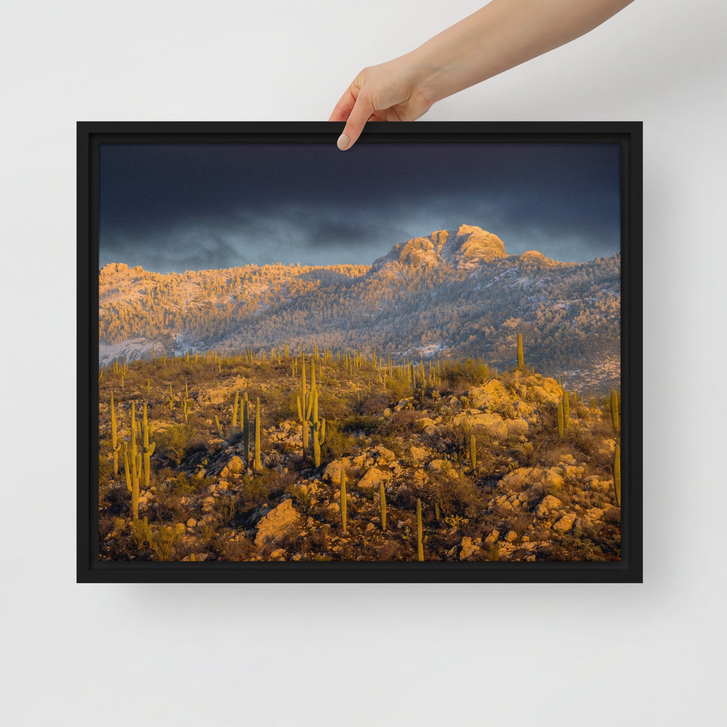 Rincon Mountain Snow by Sean Parker Photography | Framed canvas