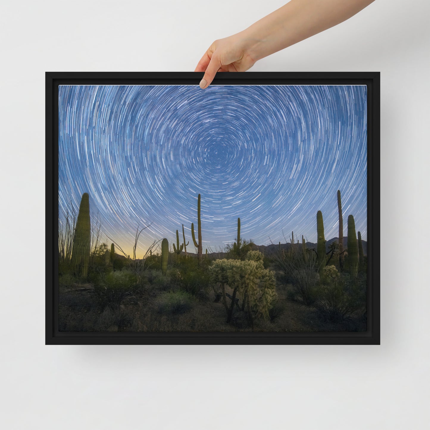 Sonoran Startails by Sean Parker Photography | Framed canvas