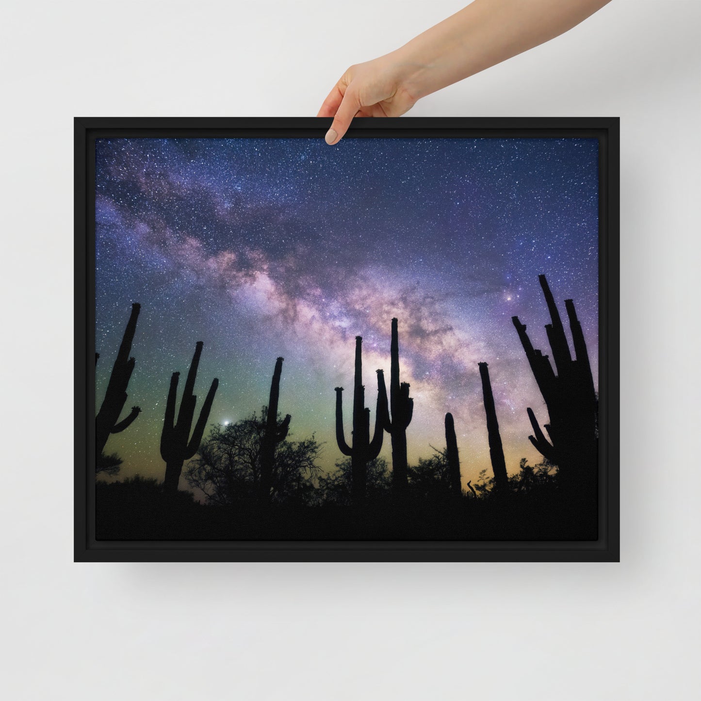 Saguaro Starlight by Sean Parker Photography | Framed canvas