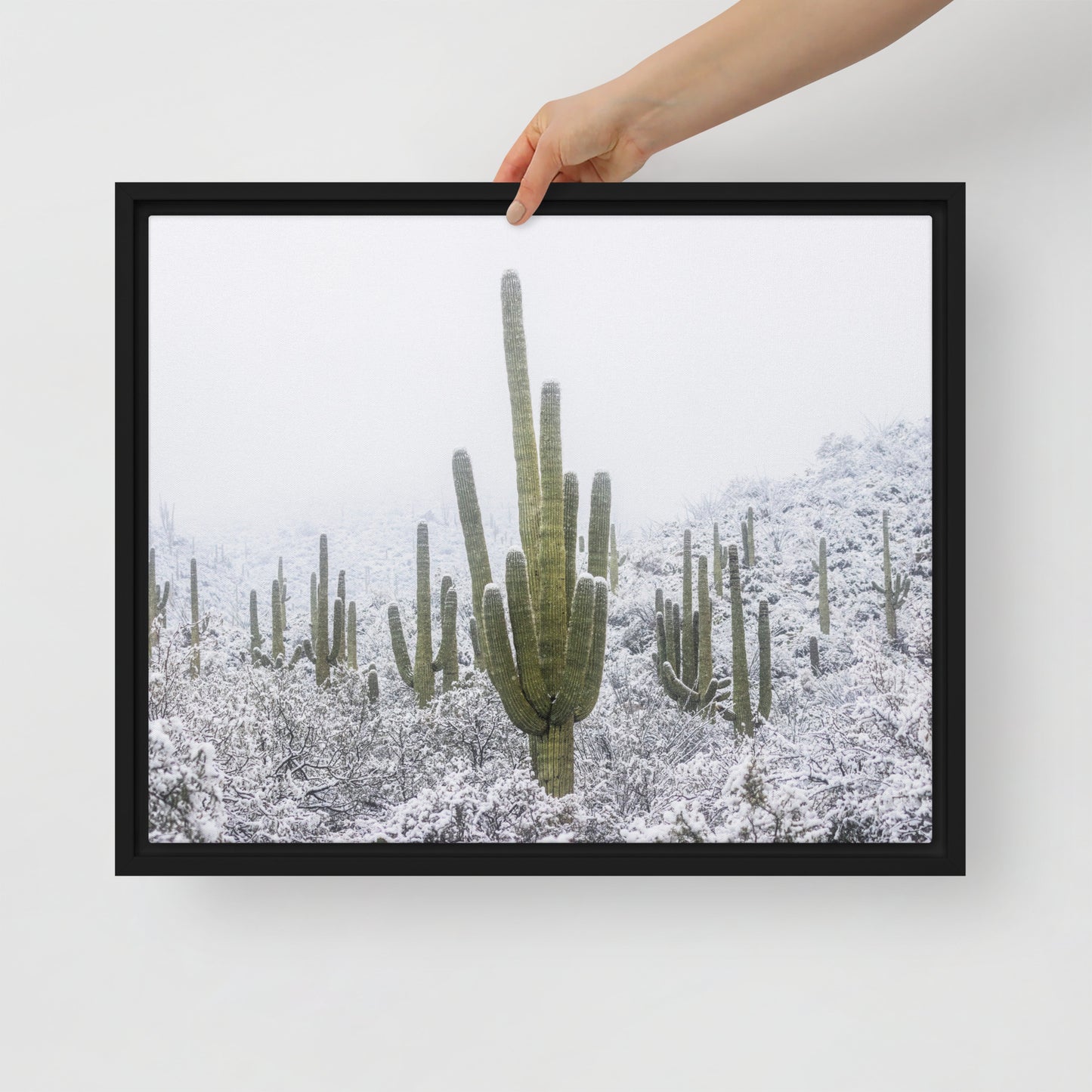 Saguaro Snowfall by Sean Parker Photography | Framed canvas