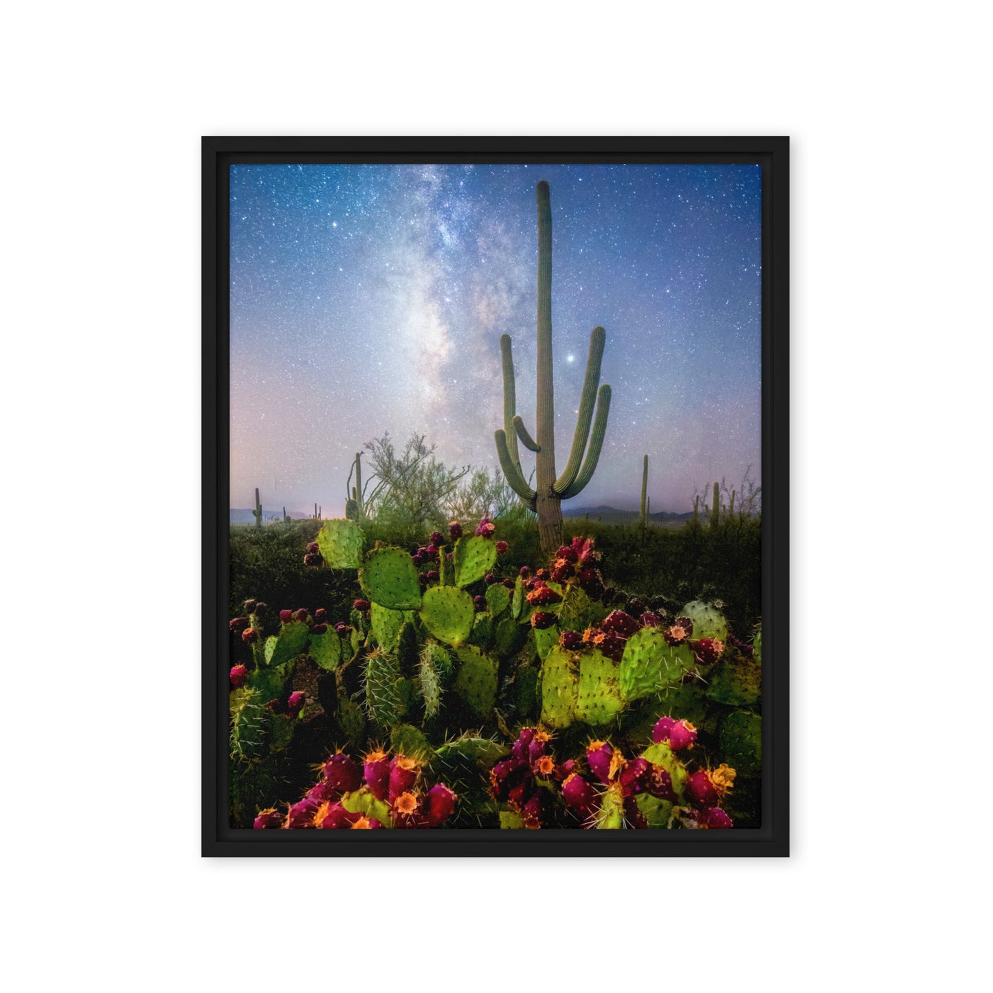 Milky Way Prickly Pear by Sean Parker Photography | Framed canvas