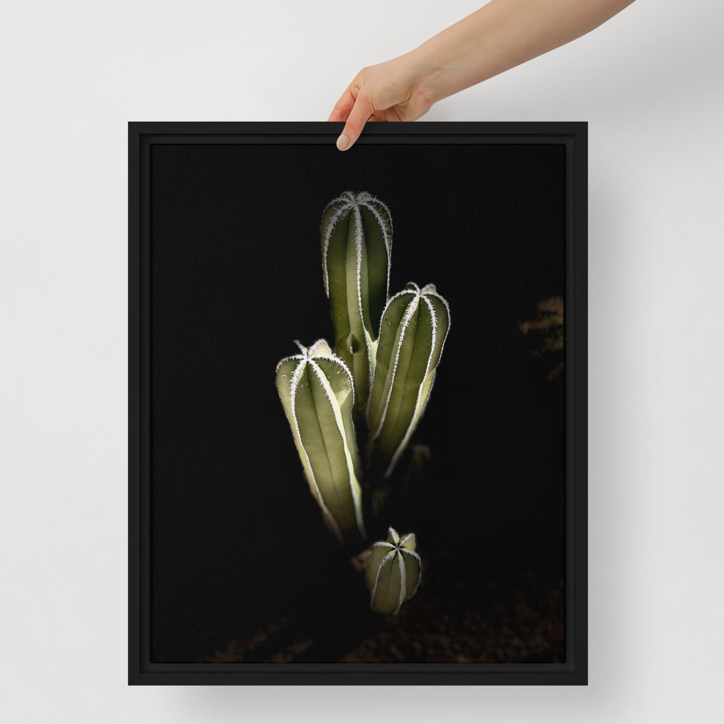 Saguaro Quad by Enrique Aldana Photography | Framed canvas