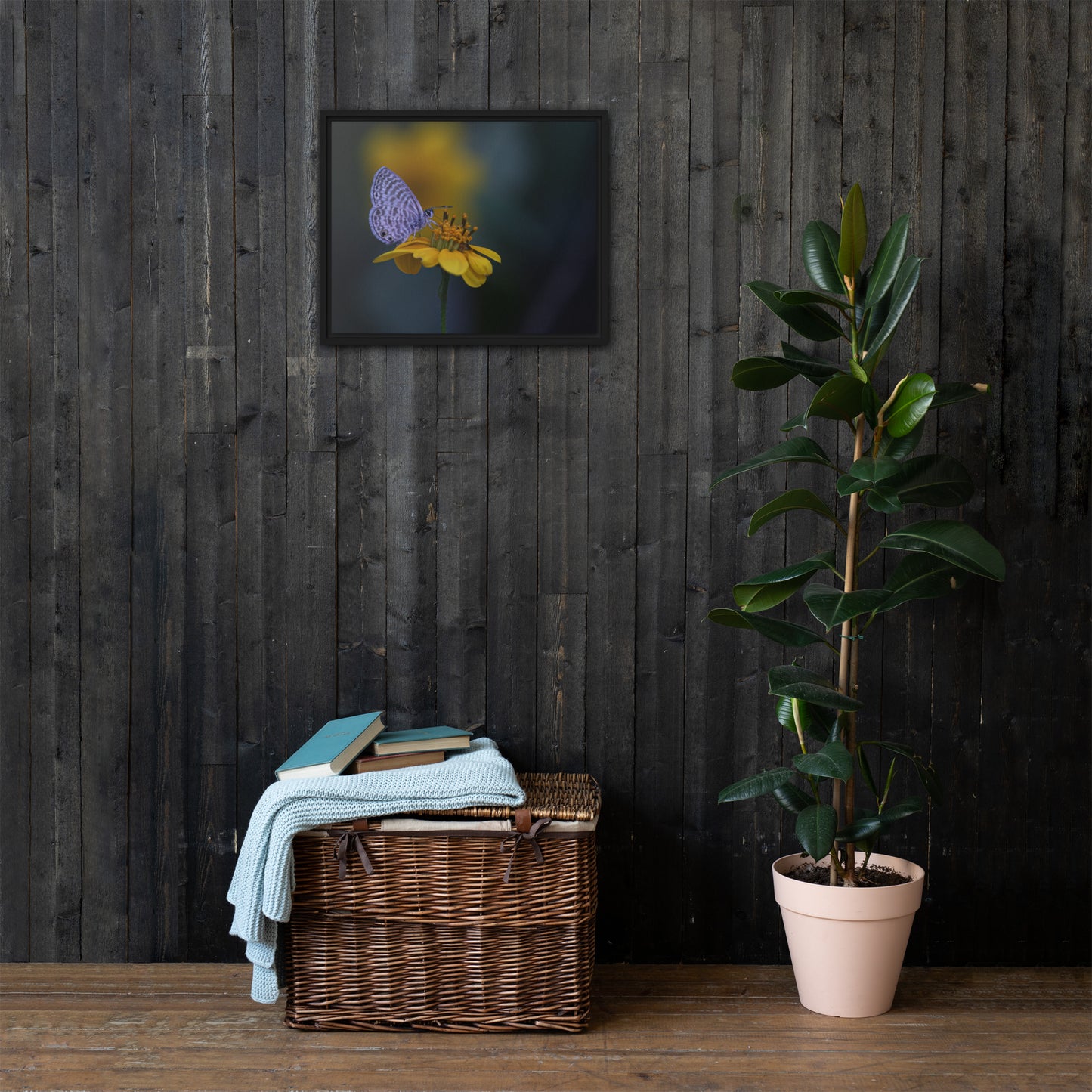 Marine Blue Butterfly by Leslie Leathers Photography | Framed canvas