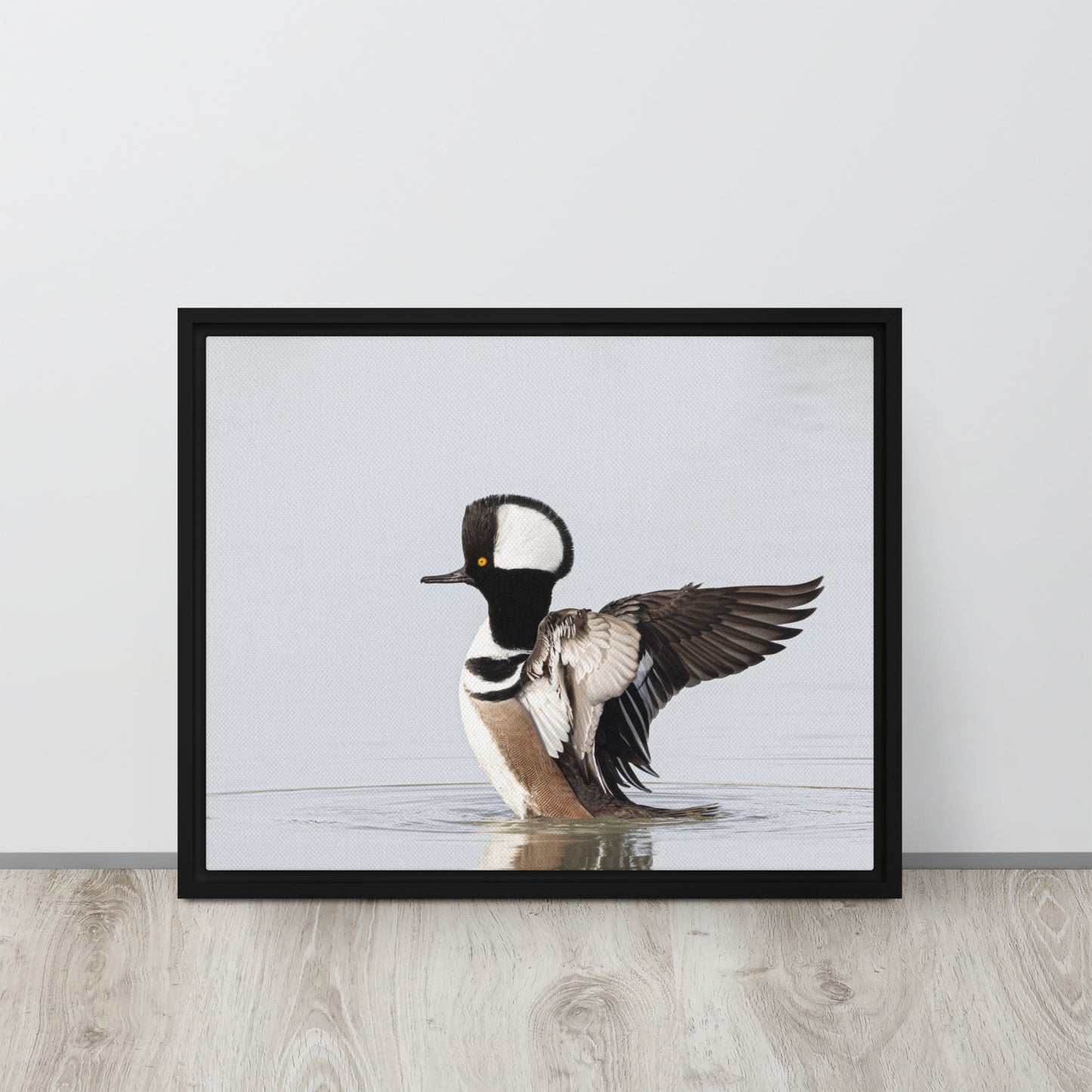 Hooded Merganser by Leslie Leathers Photography | Framed canvas