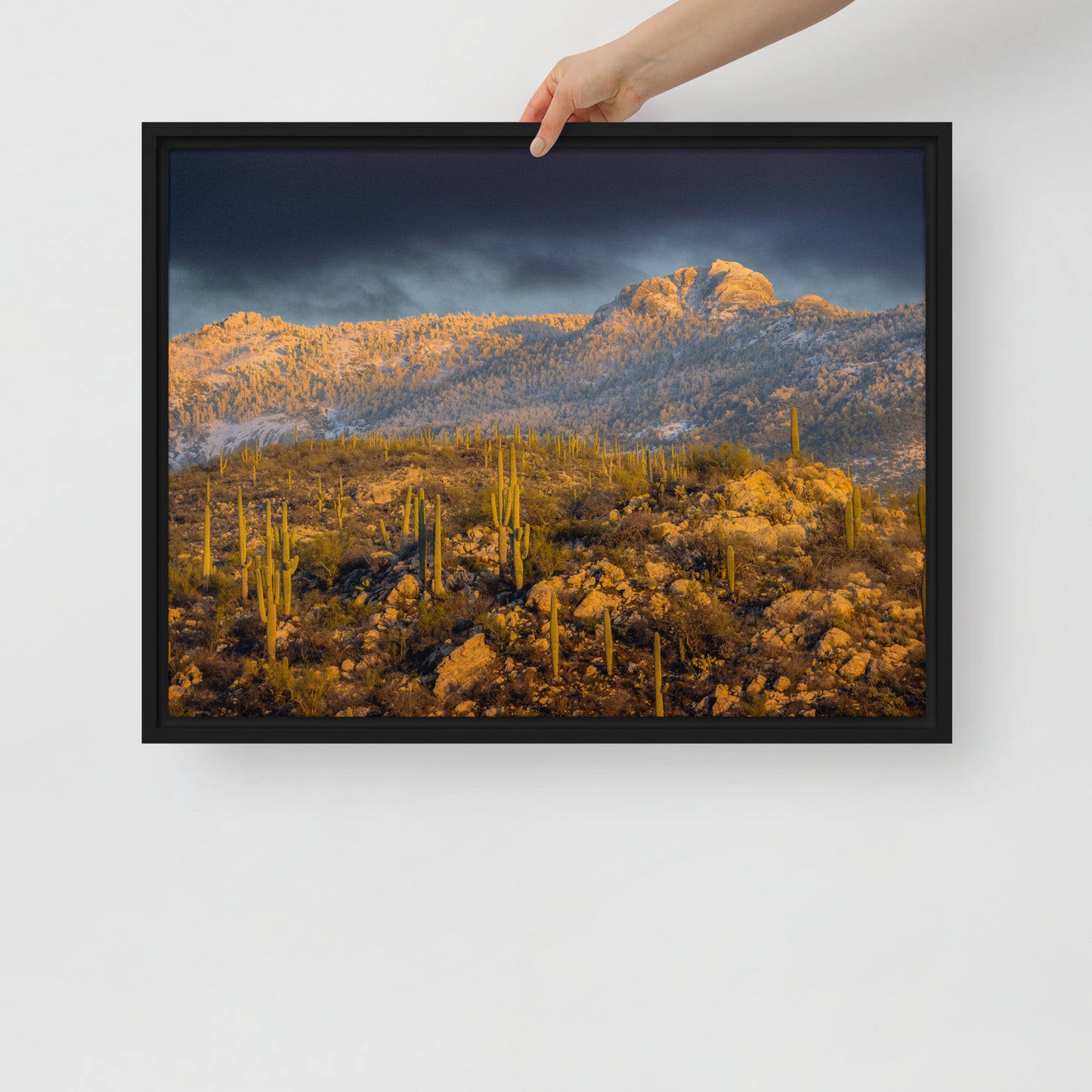 Rincon Mountain Snow by Sean Parker Photography | Framed canvas