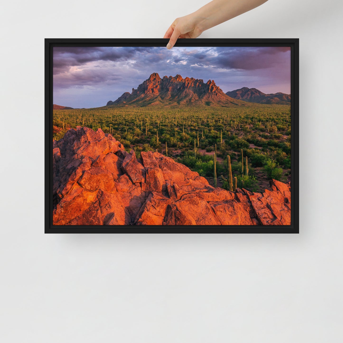 Ironwood National Monument by Sean Parker Photography | Framed canvas