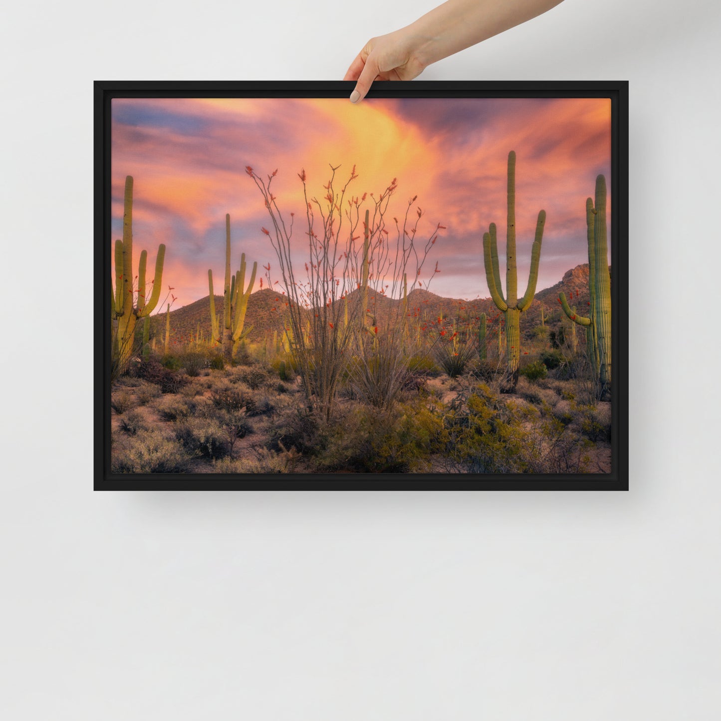 Tucson Mountain Park Sunset by Sean Parker Photography | Framed canvas