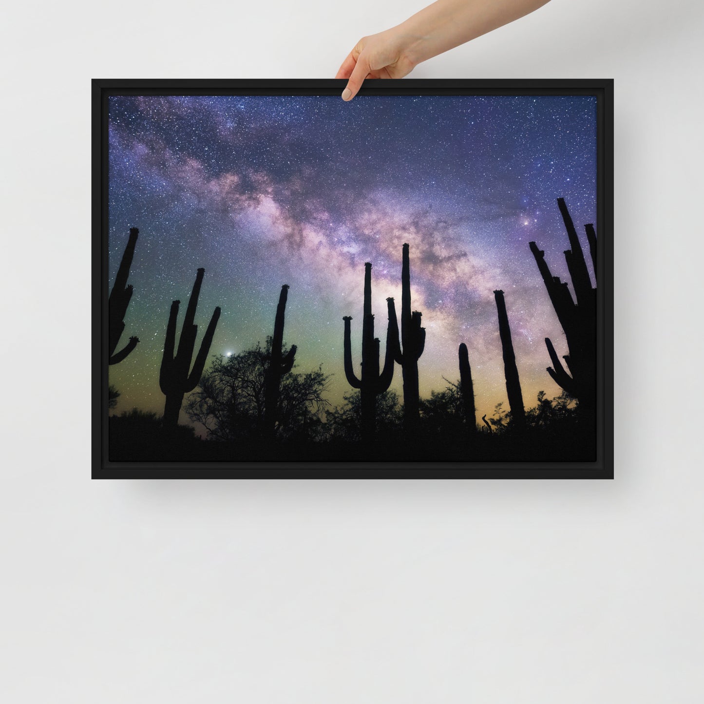 Saguaro Starlight by Sean Parker Photography | Framed canvas