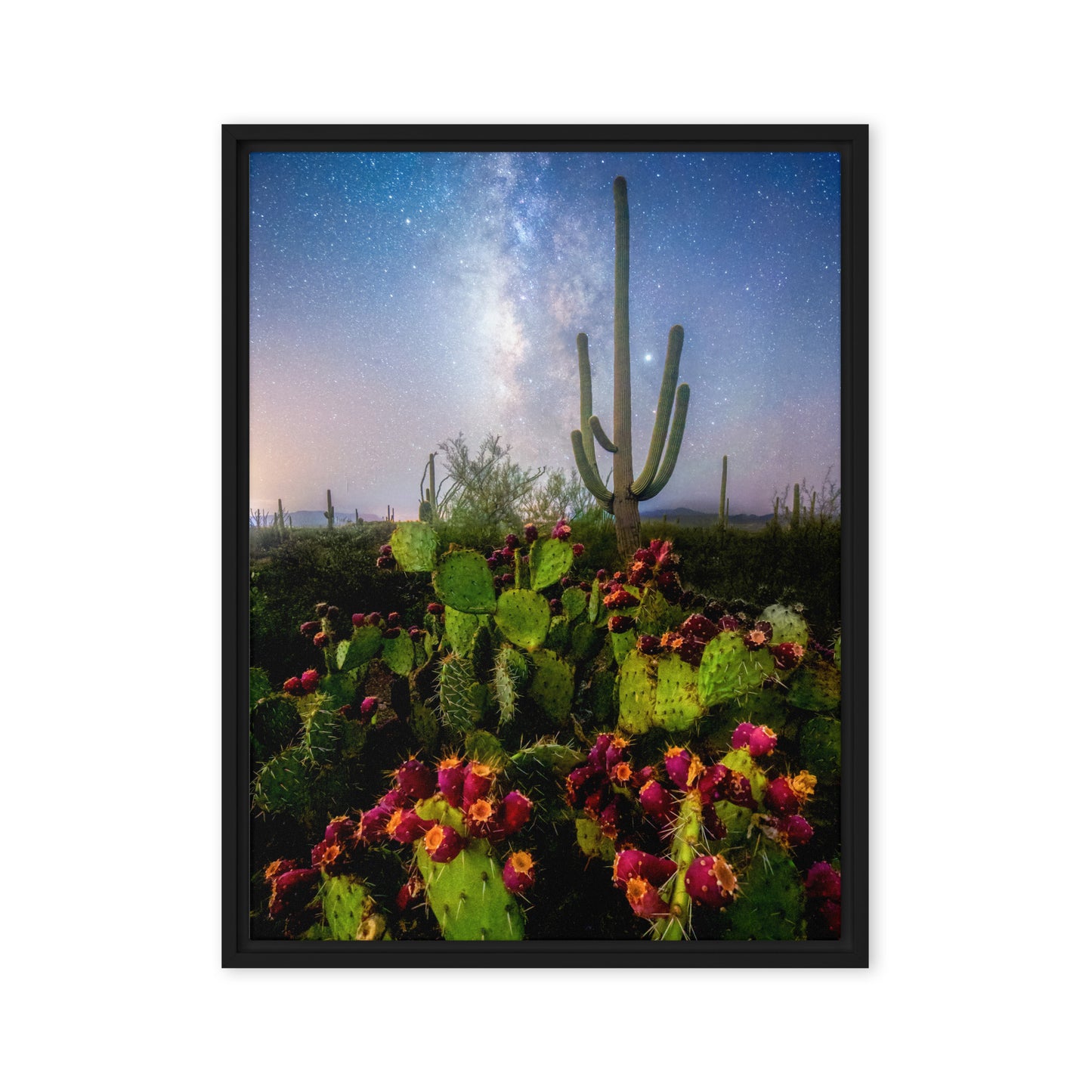 Milky Way Prickly Pear by Sean Parker Photography | Framed canvas