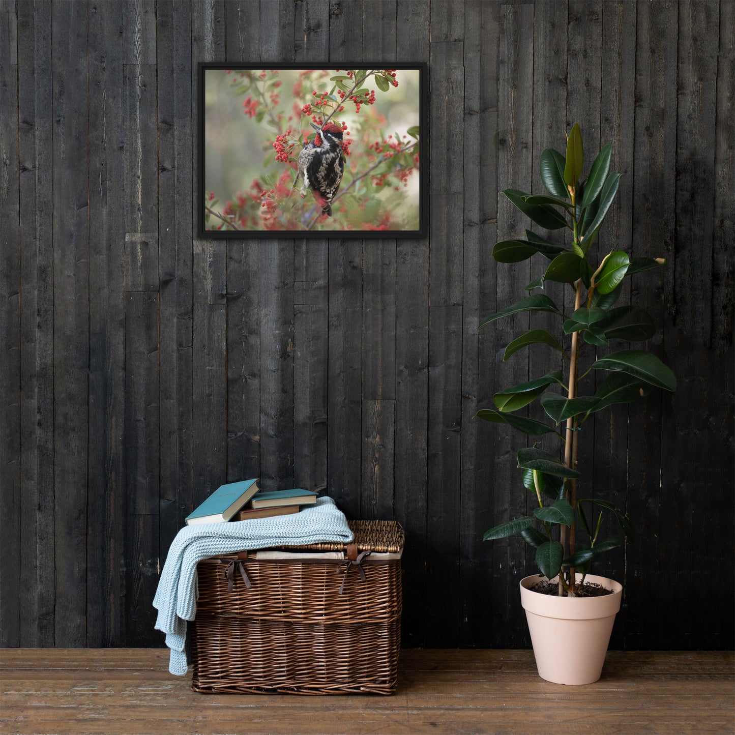 Red Naped Sapsucker by Leslie Leathers Photography | Framed canvas