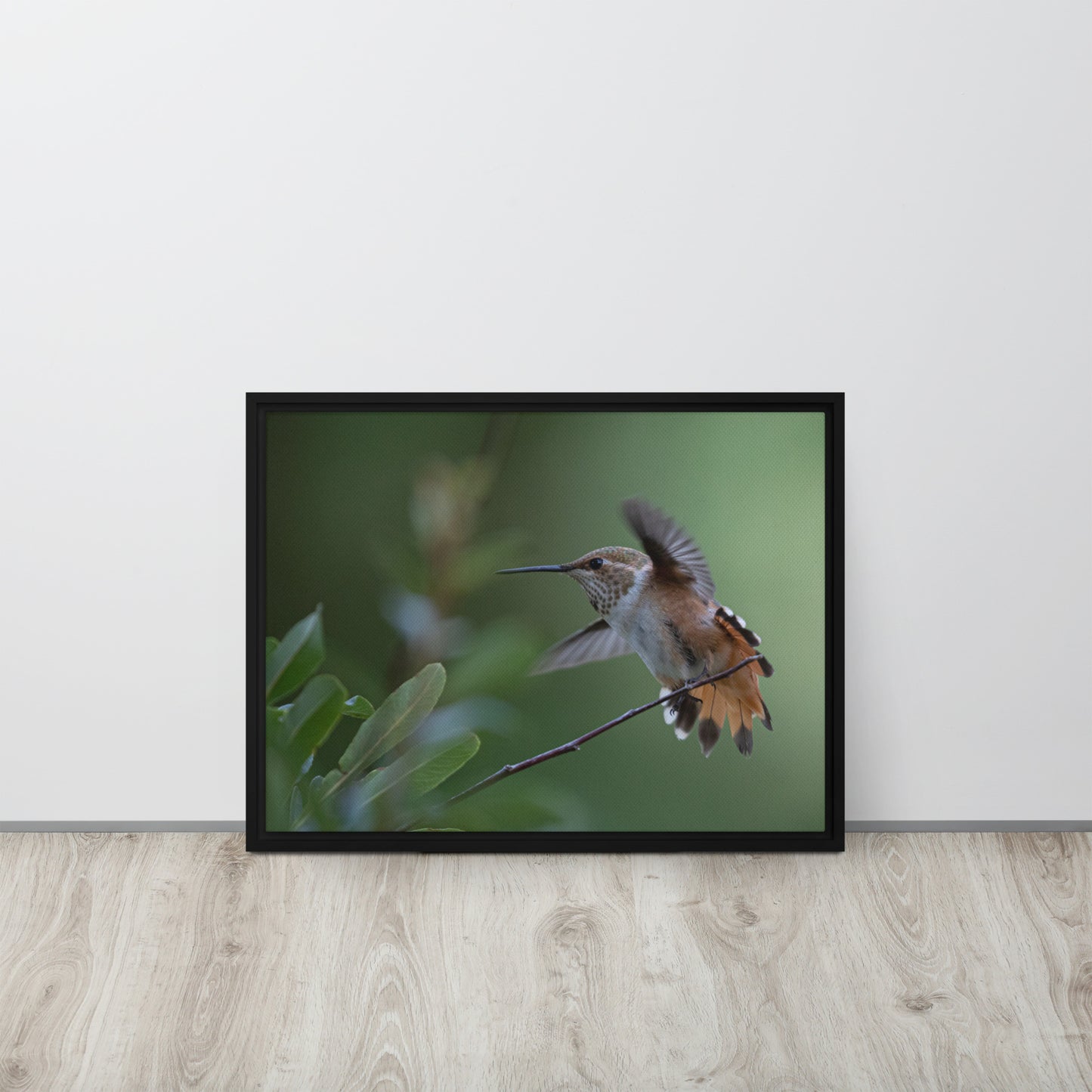 Rufous Hummingbird by Leslie Leathers Photography | Framed canvas