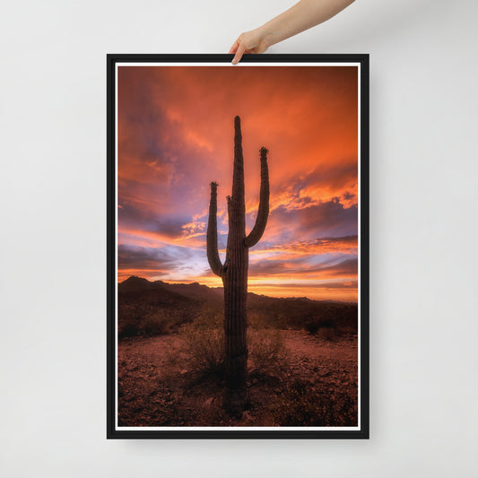 Saguaro Sunset by Sean Parker Photography | Framed canvas