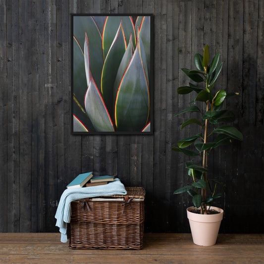 Agave by Leslie Leathers Photography | Framed canvas