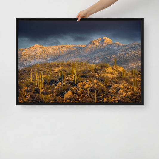 Rincon Mountain Snow by Sean Parker Photography | Framed canvas