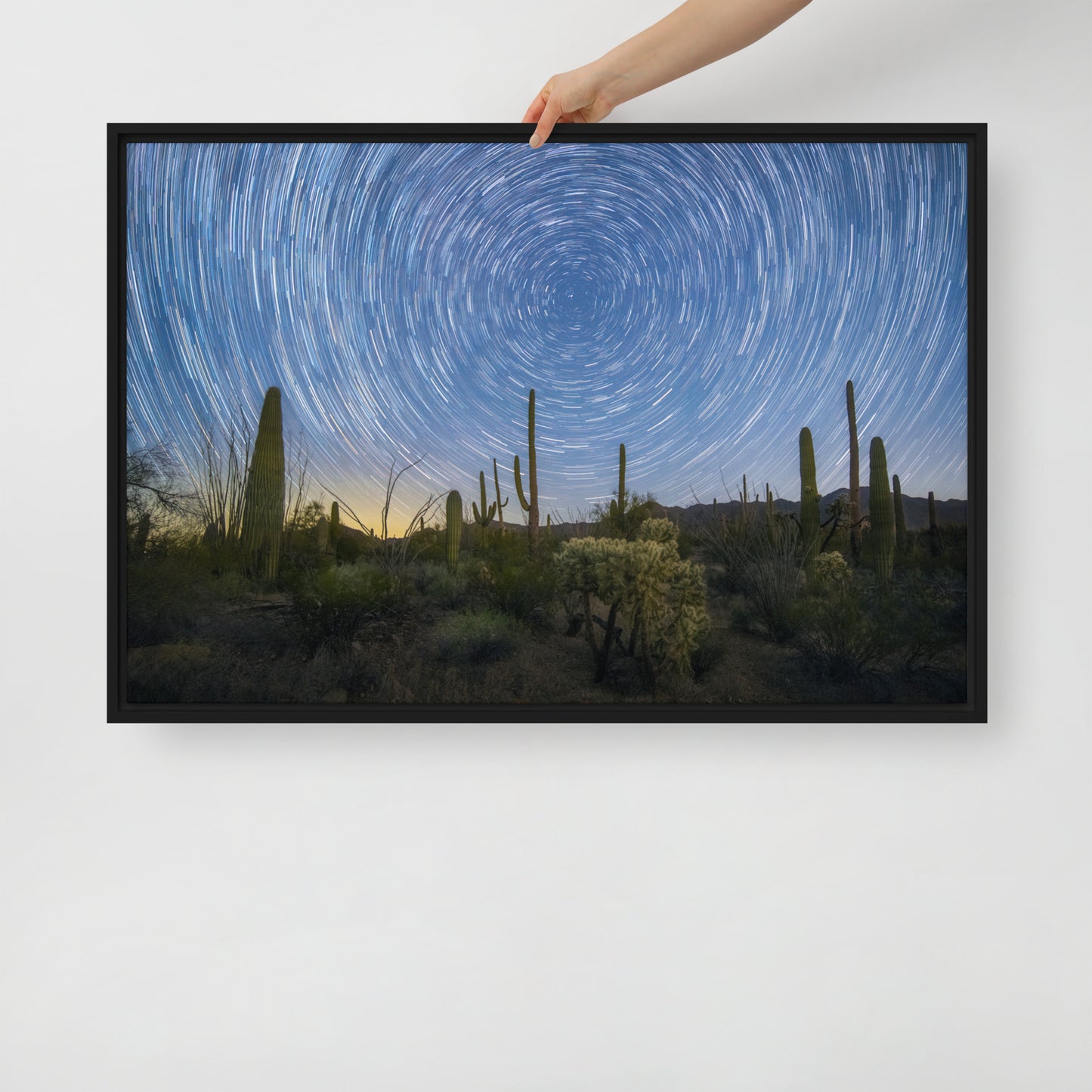 Sonoran Startails by Sean Parker Photography | Framed canvas