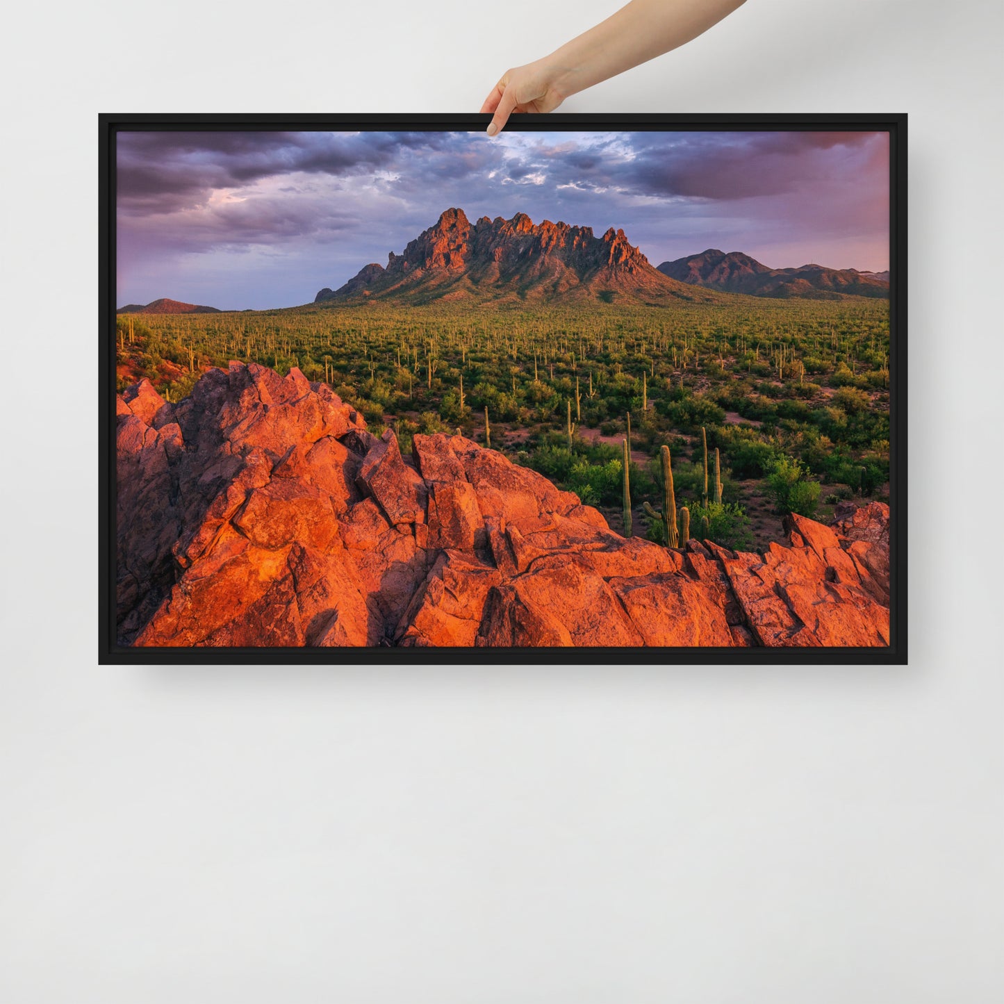 Ironwood National Monument by Sean Parker Photography | Framed canvas