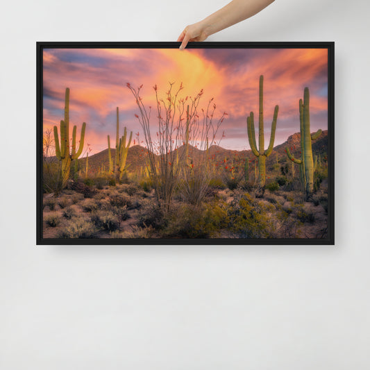 Tucson Mountain Park Sunset by Sean Parker Photography | Framed canvas