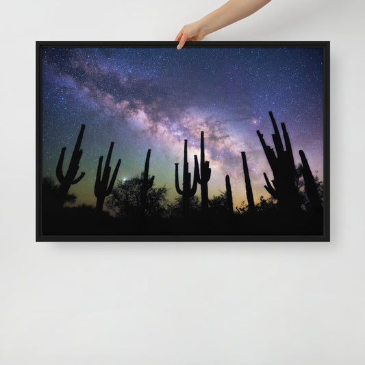 Saguaro Starlight by Sean Parker Photography | Framed canvas