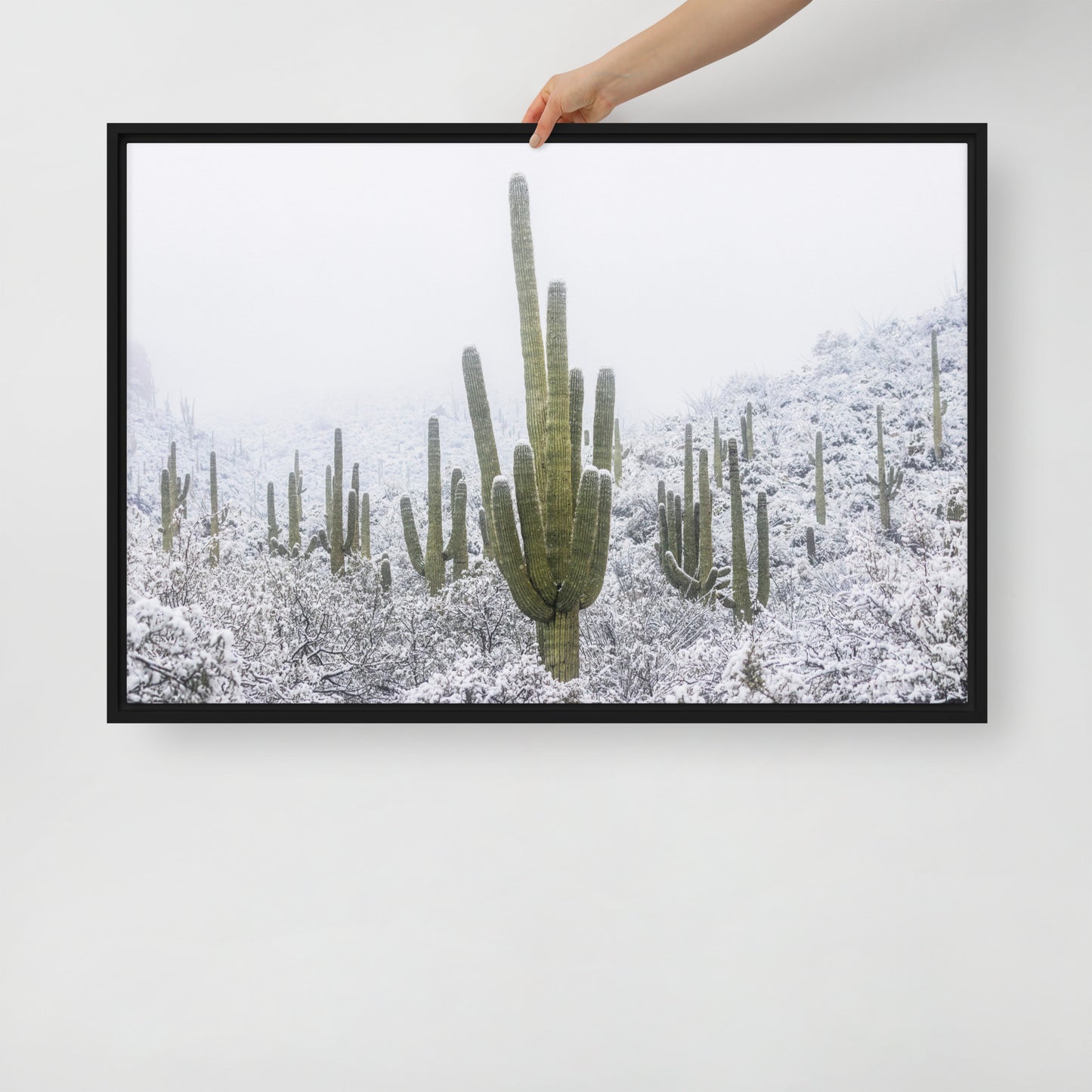 Saguaro Snowfall by Sean Parker Photography | Framed canvas